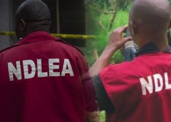 NDLEA arrests drug kingpin, recovers 548,000 tramadol tablets