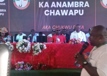 Anambra PDP: my litigation will soon be over – Ozigbo