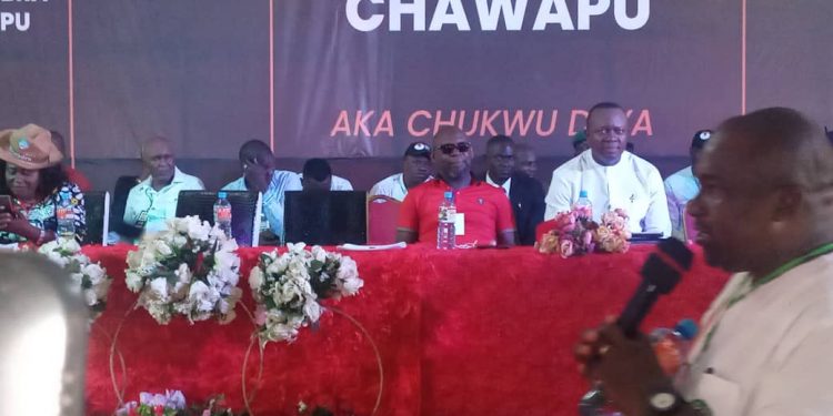 Anambra PDP: my litigation will soon be over – Ozigbo