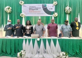Anambra govt, NAU, NCF partner to protect environment, natural resources