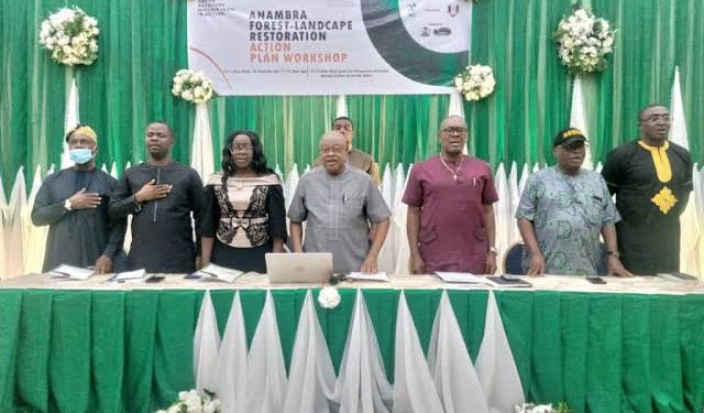 Anambra govt, NAU, NCF partner to protect environment, natural resources