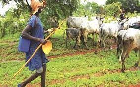 Bill to ban open grazing passes second reading in Rivers State House of Assembly.