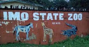 Community decries scavenger’s death as Nekede road, zoo perimeter fence collapse