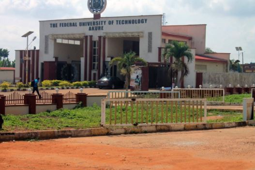 Leave our lands, Umuoma Nekede, Mboke Ihiagwa, Umocha Avu people tell FUTO