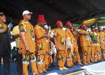 APGA inaugurates 4800 membership campaign council for Soludo