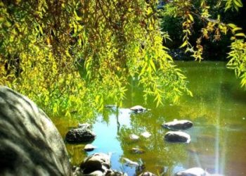 My riverside experience