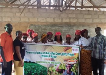 Mothers are chief nutrition officers of home – Group