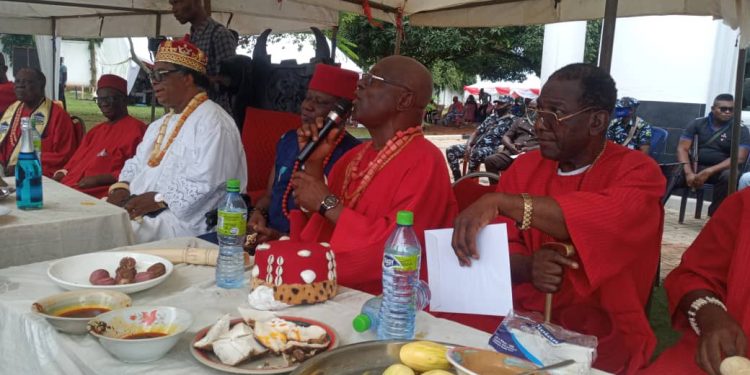 Paradigm of culture as Regent of Umuoji, celebrates new yam festival 