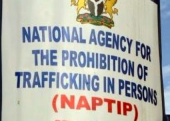 NAPTIP, CSOs decry rate of human trafficking