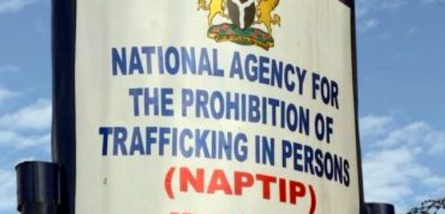 NAPTIP, CSOs decry rate of human trafficking