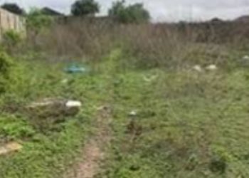 Anambra land tussle claims one, Council boss escapes death