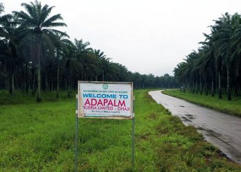 Adapalm GM advises youths on entrepreneurship