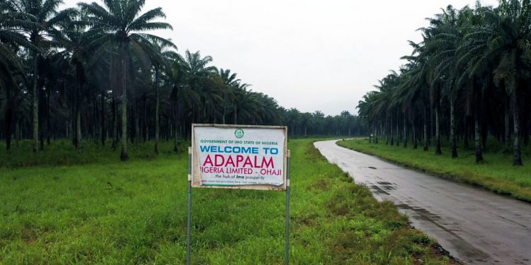 Adapalm GM advises youths on entrepreneurship