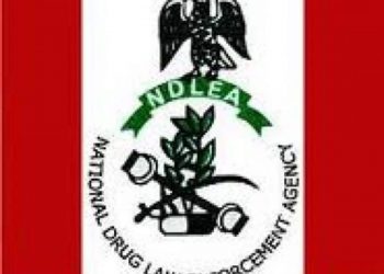 Imo NDLEA warns hotels against harboring illicit drug users