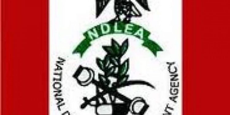 Imo NDLEA warns hotels against harboring illicit drug users