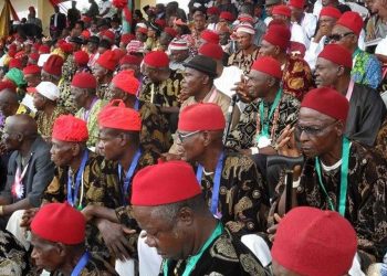 Ohanaeze: Standing up for Ndigbo, speaking truth to power