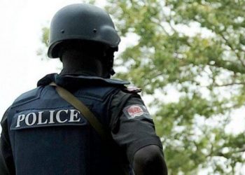 Police arrest man over alleged murder of son in Enugu