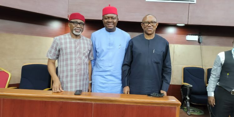 Anambra 2021: Supreme court declares Ozigbo authentic PDP candidate