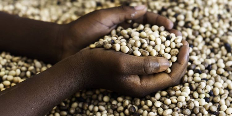 World Food Day 2021: Foundation for Livelihood Advancement trains 300 farmers, households on biofortified foods, crops