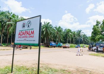 Adapalm is 80% restored – Chairman Ohaji/Egbema, Agwa Landlord Ass
