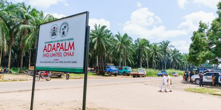 Adapalm is 80% restored – Chairman Ohaji/Egbema, Agwa Landlord Ass