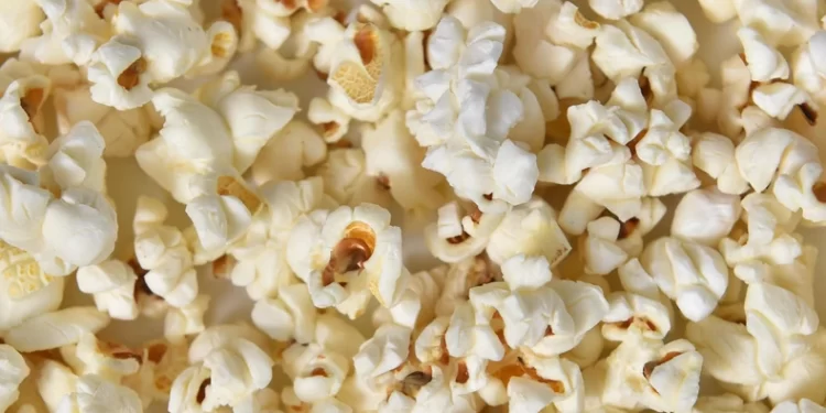 5 healthy snacks to munch on when you are bored