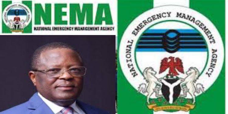 No relief agricultural input meant for Ebonyi was diverted – NEMA