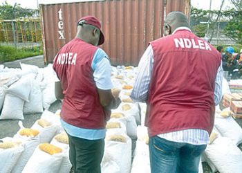 Anambra police partners NDLEA on illicit drugs awareness