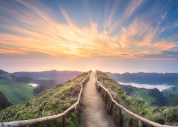 Family Circle : THE BEAUTY OF DEATH