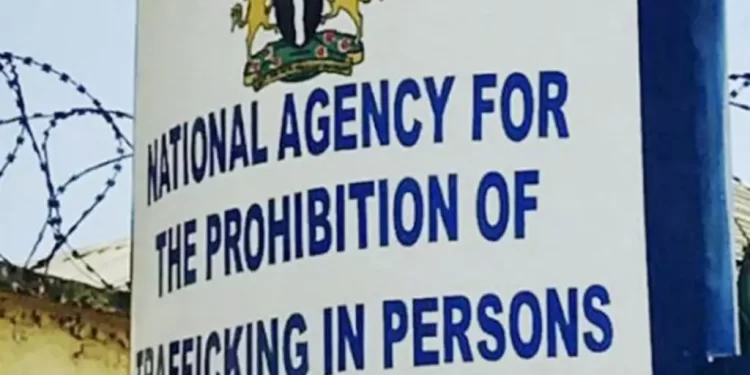 NAPTIP raises alarm over increasing cases of child trafficking