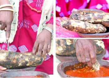 Unifying Ndigbo through new yam celebrations