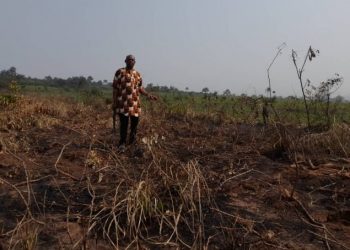 Fire destroys monarch’s large cassava farms