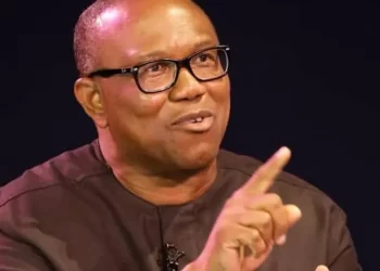 2023: I will contest if PDP throws contest open, zones to South – Peter Obi