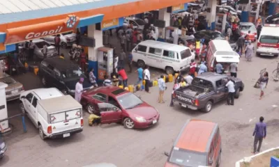 Fuel scarcity looms in Port Harcourt- PETROAN