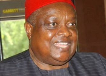 Iwuanyanwu calls for agricultural, infrastructural revolution