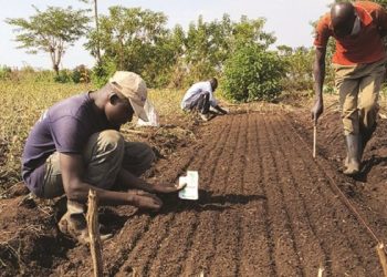 Random RIPPLES: Going into the 2022 farming season