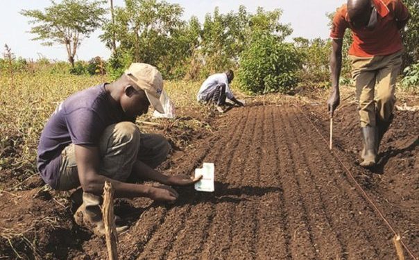 Random RIPPLES: Going into the 2022 farming season