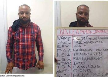 NDLEA arrest Anambra- based pastor arrested with marijuana entoute to Kenya