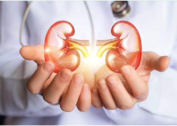 World kidney Day: keep your kidneys healthy – physician