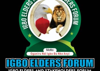 Presidency: Igbo Elders describe Northern Elders comment as selfish