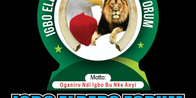 Presidency: Igbo Elders describe Northern Elders comment as selfish