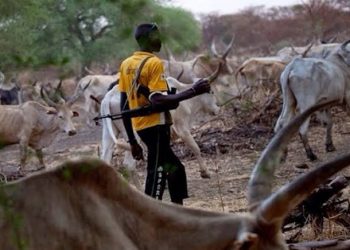 Kidnapped herdsmen in Anambra found – Police