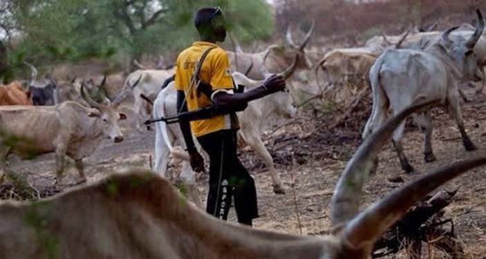Kidnapped herdsmen in Anambra found – Police