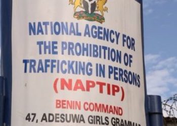 NAPTIP nabs suspected human trafficker in Anambra