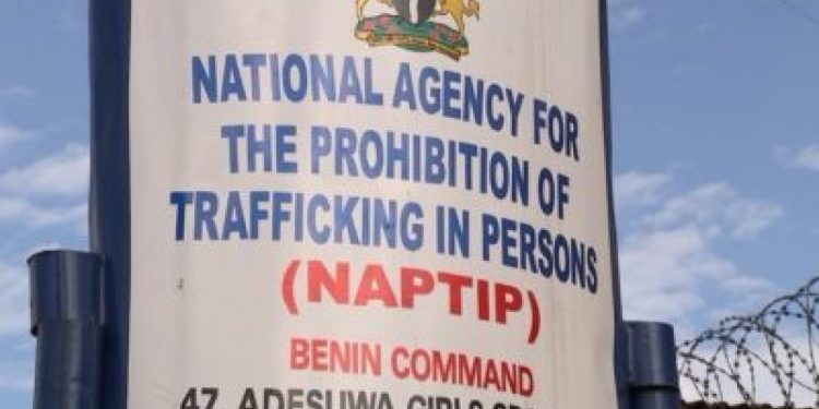 NAPTIP nabs suspected human trafficker in Anambra