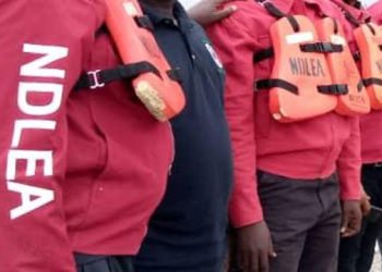 Drug Abuse: NDLEA appeals with Abia govt, stakeholders for help