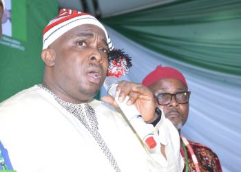 Ohanaeze: Give PDP, APC presidential tickets to North, watch us boycott 2023 election in South