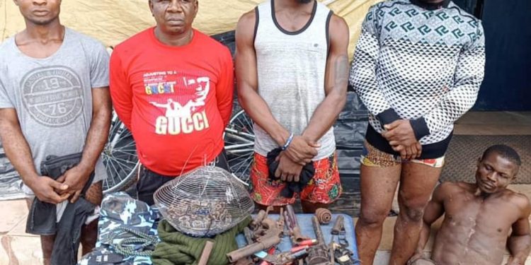 Imo Police nabs terror gang responsible for officer’s death in Agwa community
