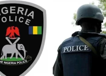 Five hoodlums arrested in Anambra for threatening food vendor with sit-home order