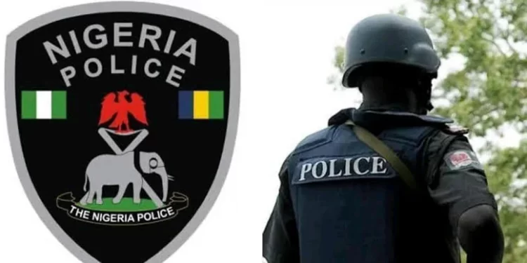 Five hoodlums arrested in Anambra for threatening food vendor with sit-home order